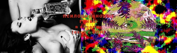 тгк Аркадак