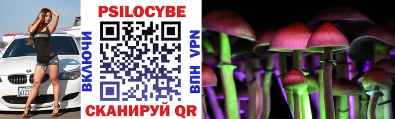 omg зеркало  Ступино  Псилоцибиновые грибы Cubensis 